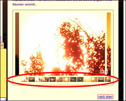 Bildschirmfoto: Die gleitenden Galerien und deren Vorschaubilder darunter in Miniaturgröße.