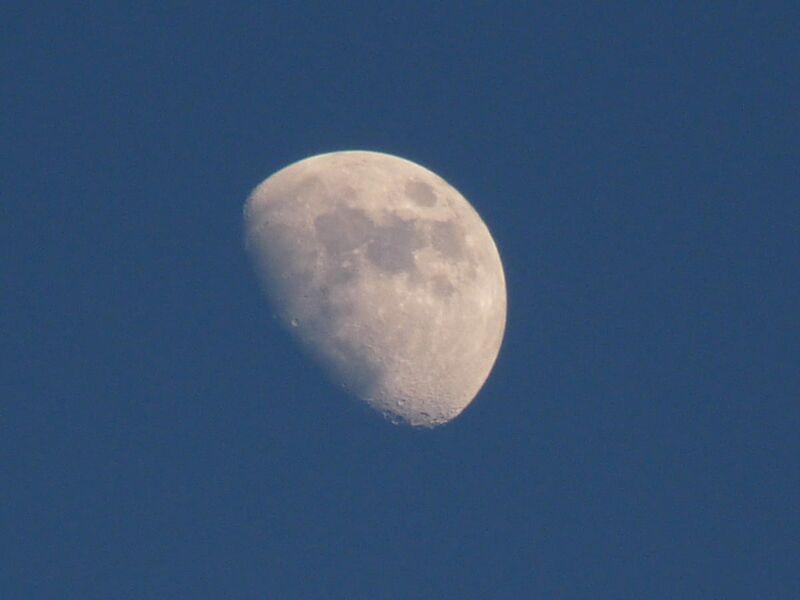 Foto: Der gute alte Mond: diesmal nur halbvoll und anfangs nicht ganz so kontrastreich getroffen.