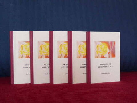 Foto: Hier stehen die Bücher meines zweiten Werkes hinereinander gereiht auf meinem Sofa.