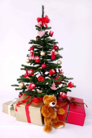 Foto: Ein reich geschmückter Weihnachtsbaum. Darunter große Geschenke und ein goldbrauner Teddy.