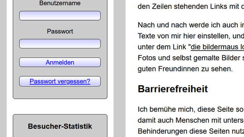Bildschirmfoto: Das mittlere der drei grauen Felder mit dem blauen Button "Anmelden" zur Bestätigung einer Eingabe.