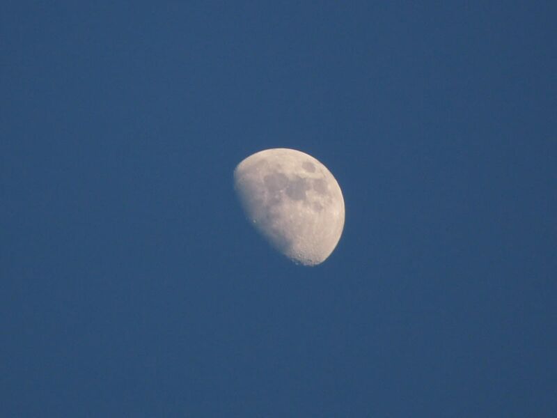 Foto: Der gute alte Mond: diesmal nur halbvoll und anfangs nicht ganz so kontrastreich getroffen.