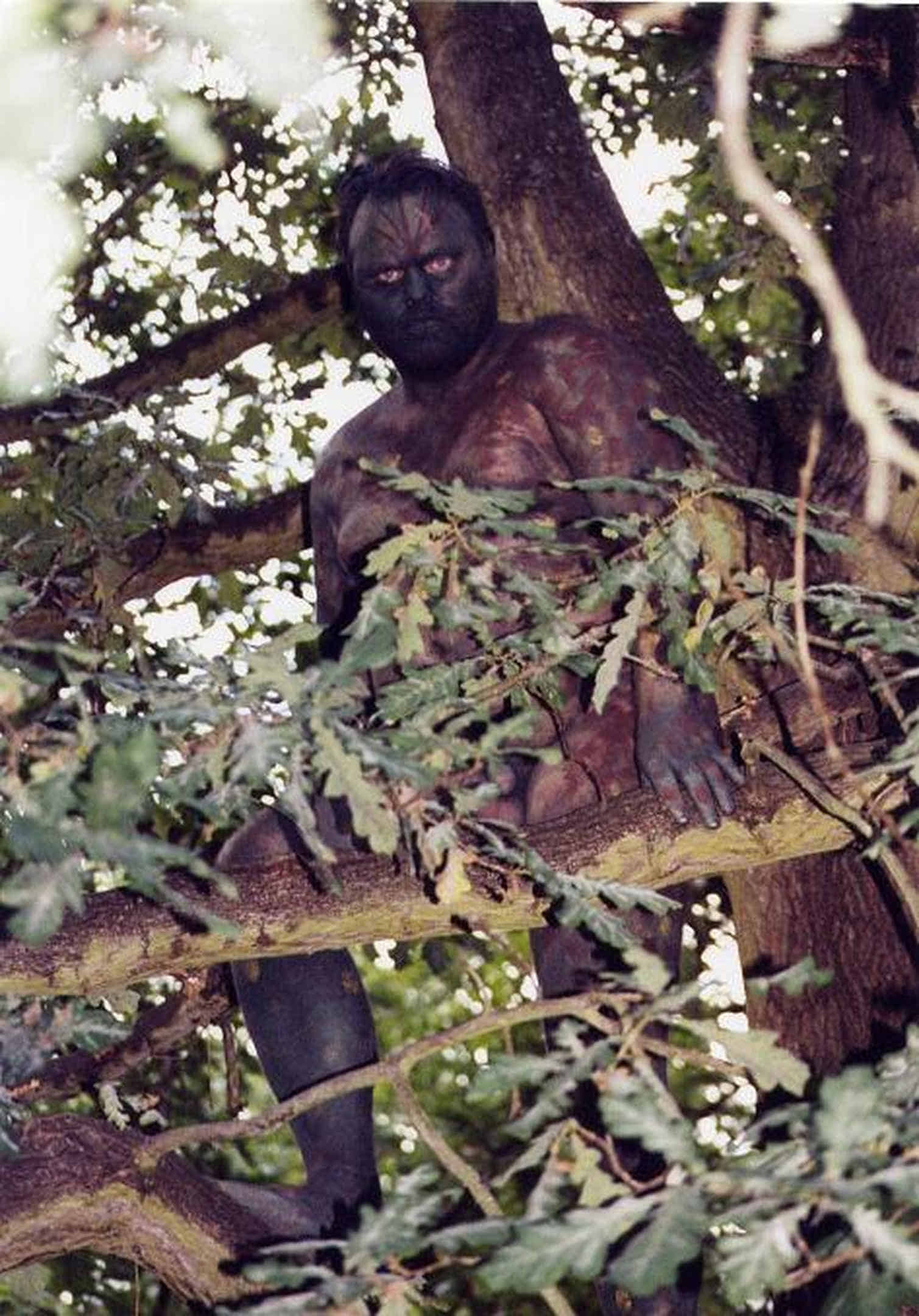 Foto: Ich stehe nackt, bemalt und versteckt hinter Ästen in einem hohen Baum.